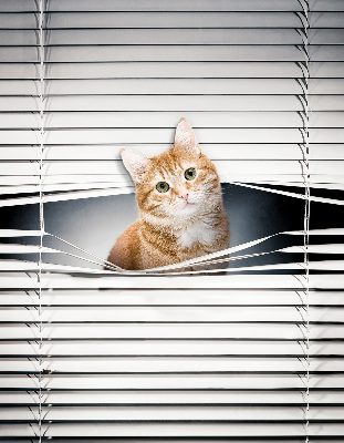 Roller blind for large window Ginger cat