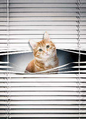 Roller blind for large window Ginger cat