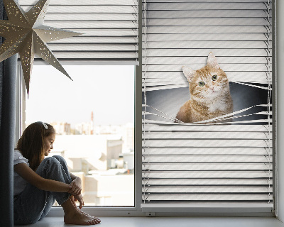 Roller blind for large window Ginger cat