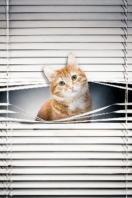 Roller blind for large window Ginger cat