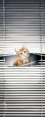 Roller blind for large window ginger cat pattern