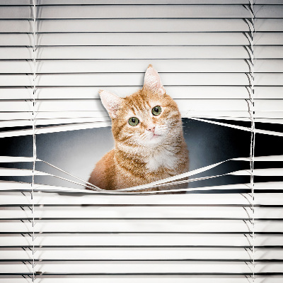 Roller blind for large window Ginger cat