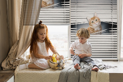 Roller blind for large window Ginger cat