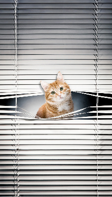 Roller blind for large window Ginger cat