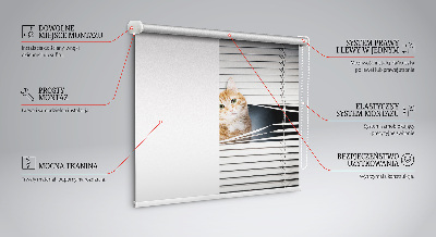 Roller blind for large window Ginger cat
