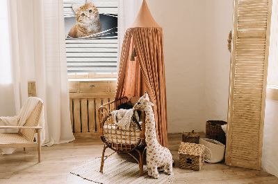 Roller blind for large window Ginger cat