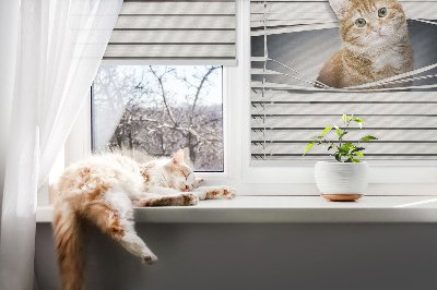 Roller blind for large window Ginger cat