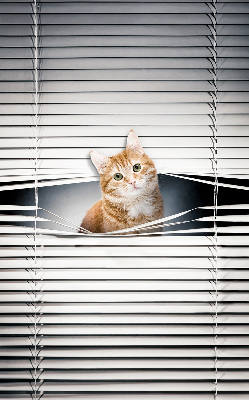 Roller blind for large window Ginger cat