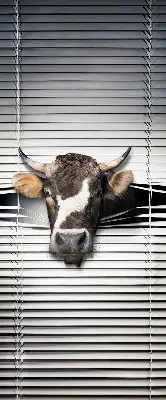 Fabric roller blind cow print