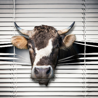 Fabric roller blind Cow