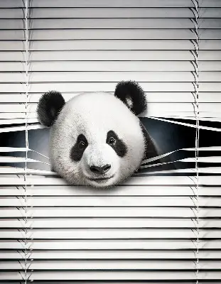 Roller blind modern panda design