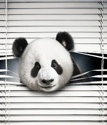 Roller blind modern panda design