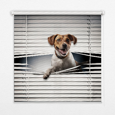 Roller blind for large windows