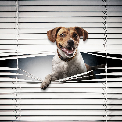 Roller blind for large window Dog
