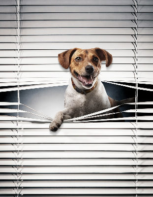 Roller blind for large window Dog