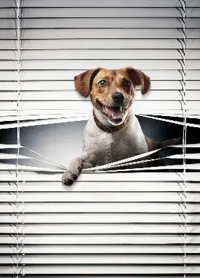 Roller blind for large windows