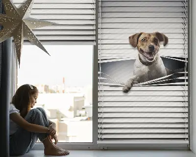 Roller blind for large windows