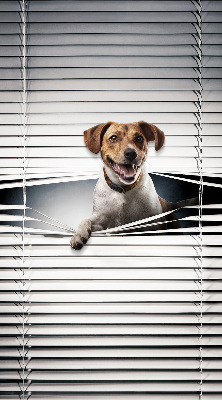 Roller blind for large window Dog