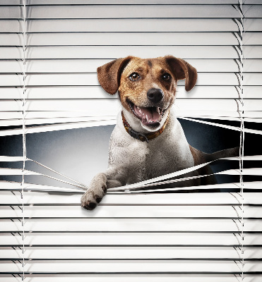 Roller blind for large window Dog