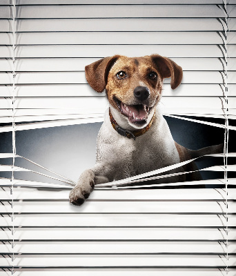 Roller blind for large window Dog