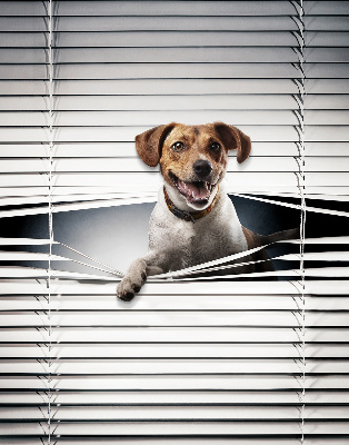 Roller blind for large window Dog