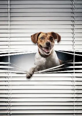 Roller blind for large windows
