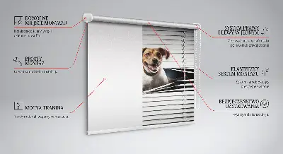 Roller blind for large windows