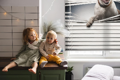 Roller blind for large window Dog