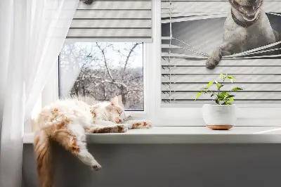 Roller blind for large windows