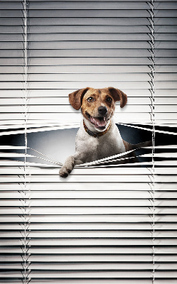 Roller blind for large window Dog