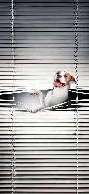 Fabric roller blind with dog print