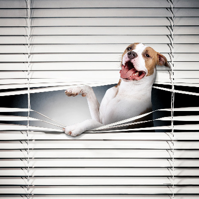 Fabric roller blind Dog