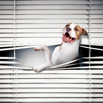 Fabric roller blind Dog