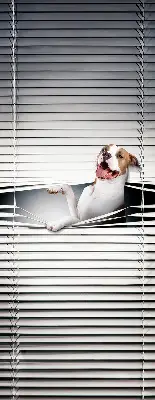 Fabric roller blind with dog print