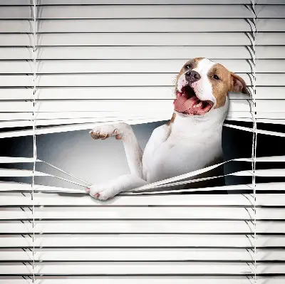 Fabric roller blind with dog print