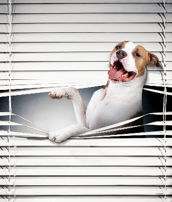 Fabric roller blind Dog