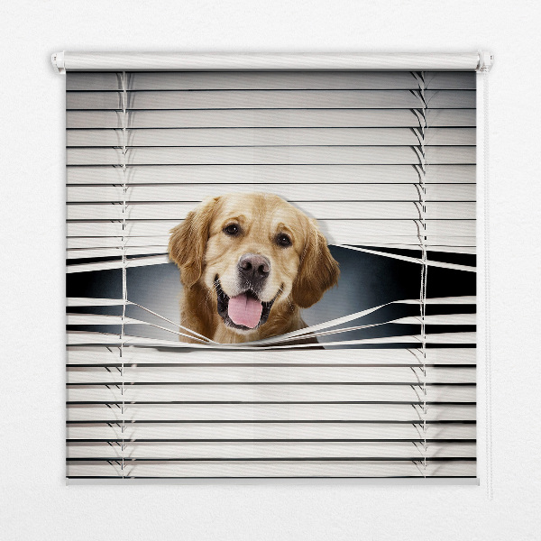 Modern roller blind golden dog design