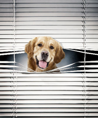 Modern roller blind Golden Dog