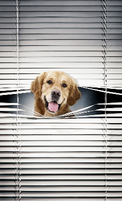 Modern roller blind Golden Dog