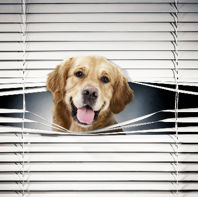 Modern roller blind Golden Dog