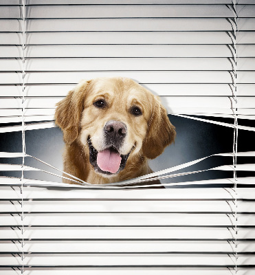 Modern roller blind golden dog design