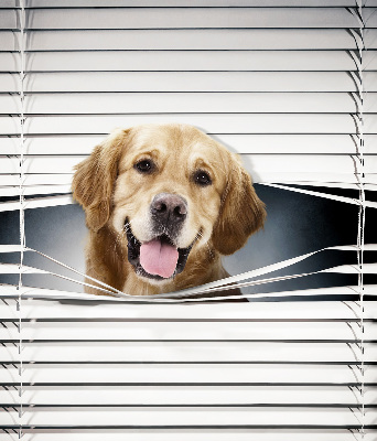 Modern roller blind Golden Dog