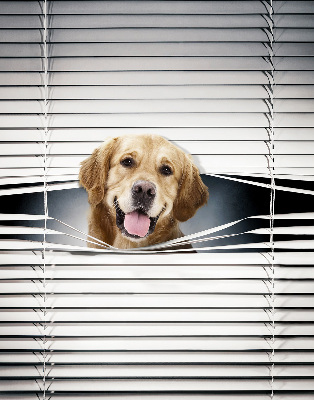 Modern roller blind Golden Dog