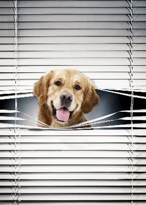 Modern roller blind Golden Dog