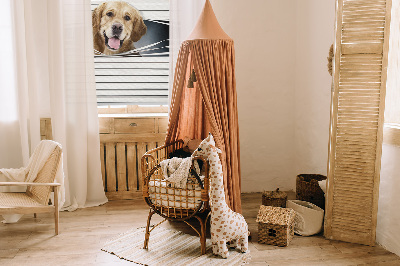 Modern roller blind Golden Dog