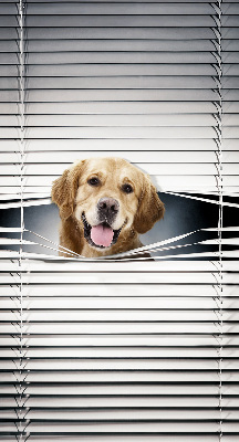 Modern roller blind Golden Dog