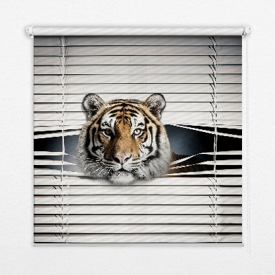 Roller blind for large window Tiger