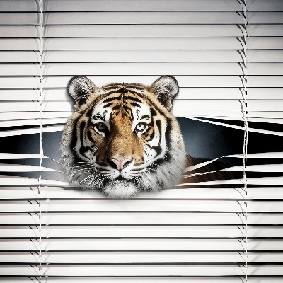 Roller blind for large window Tiger