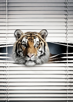 Roller blind for large window Tiger