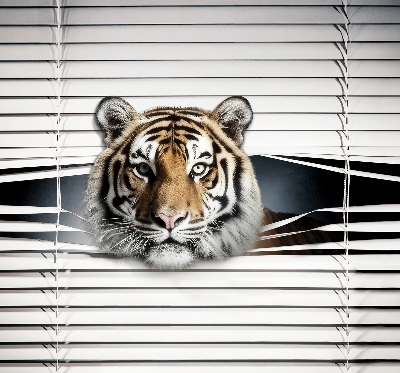 Roller blind for large window Tiger